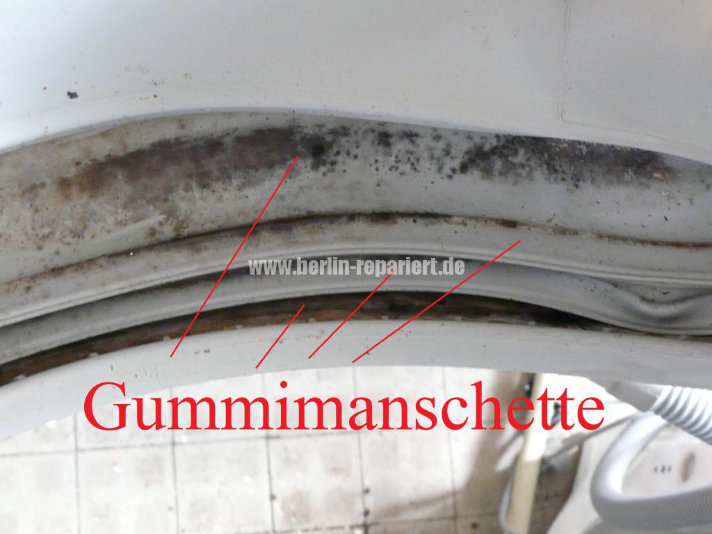 Elektrolux EWF16670, Gummimanschette Stark Verschmutz Verschimmelt (3)